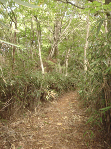 Dsc04457 山道