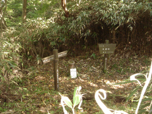 Dsc04475 天神峠