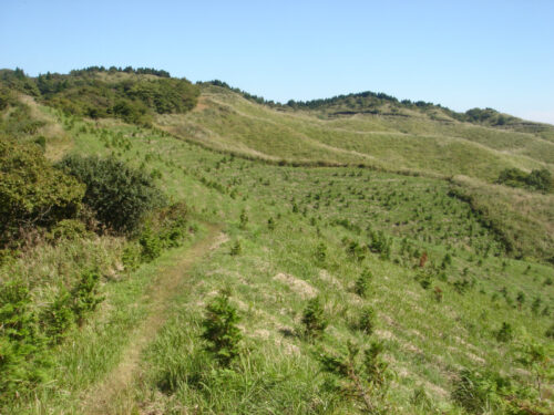 高原
