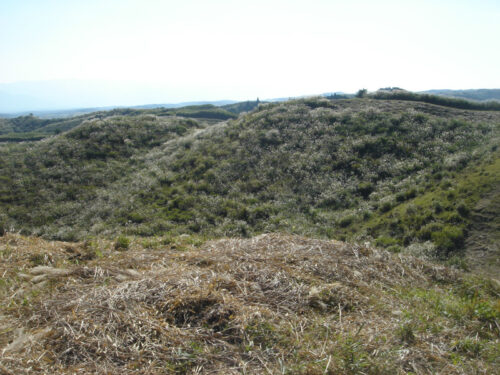 Dsc04499 高原