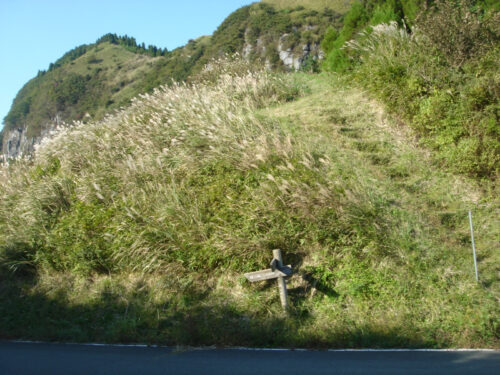 Dsc04502 清栄山(1006.3m)