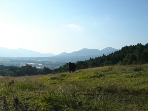 Dsc04504 阿蘇山