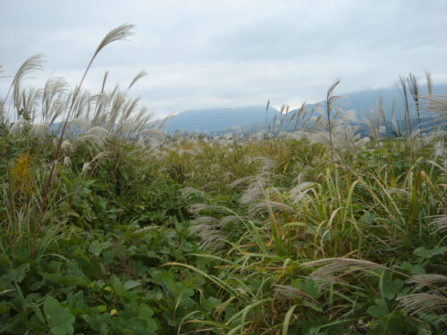 Dsc04545 西岳川沿い