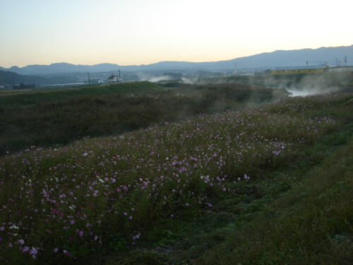 Dsc04592 迫間川を渡る