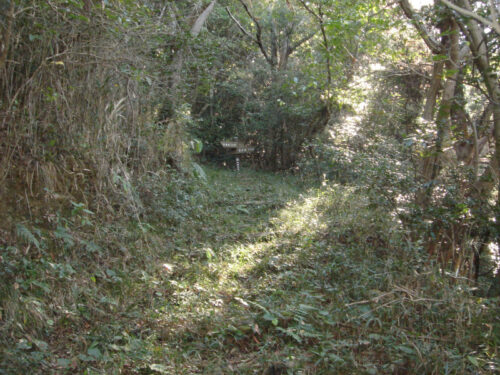 Dsc04604 山道
