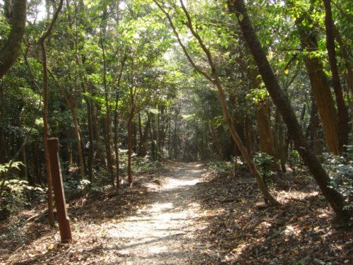 Dsc04656 筒ヶ岳の下り