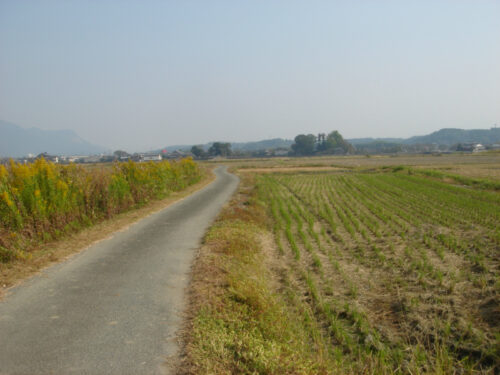 Dsc04669 田園