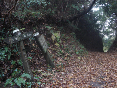 Dsc04780 阿保峠 240m