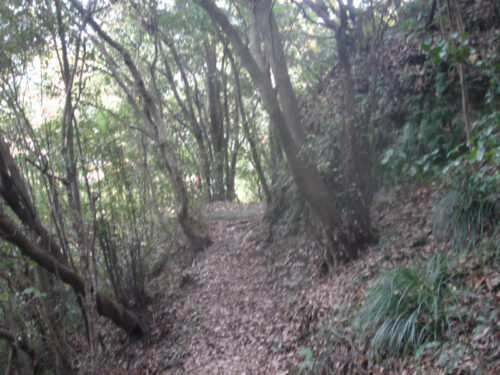 Dsc04808 山道