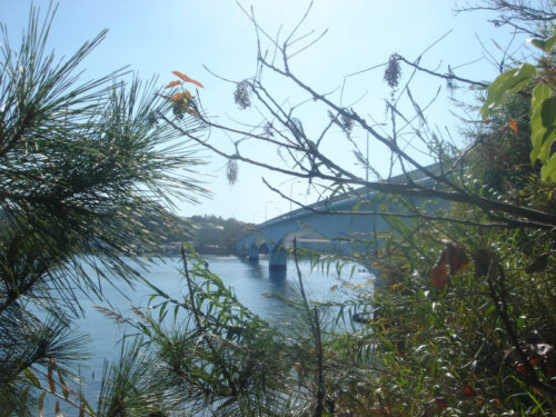 Dsc04847 前島橋 4号橋
