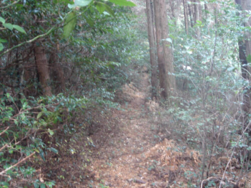 Dsc04873 山道