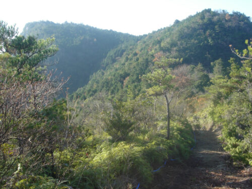 Dsc04899 観海アルプス