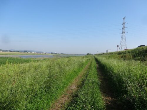 河川敷