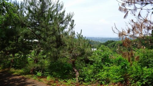 鈴田峠