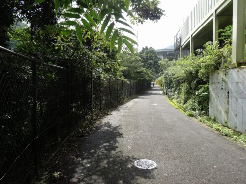水源地脇の道