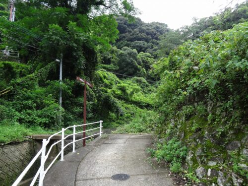 Dsc08178 水源地脇の道