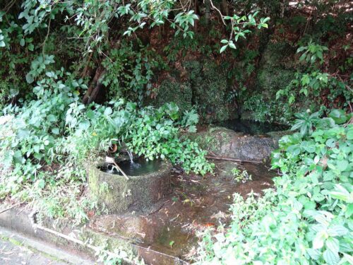 水飲み場