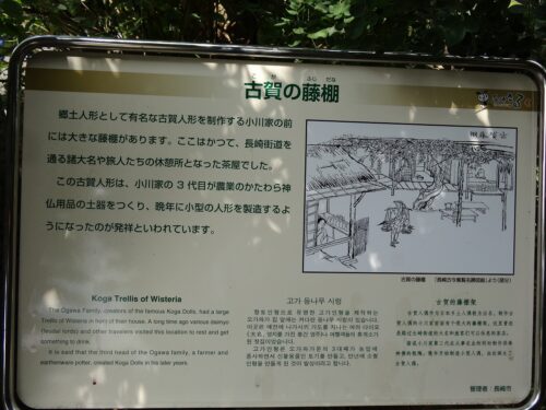 Dsc08330 古賀の藤棚