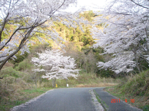 Dsc07611 仲哀隧道へ