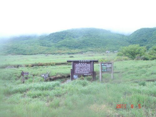 Dsc07879 坊がツル