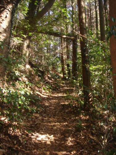 Dsc05476_2 戻る道
