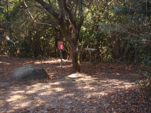 Dsc05497