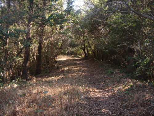 Dsc05498 山道