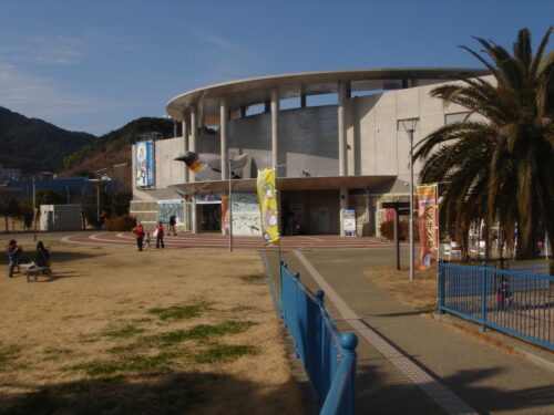 Dsc05528 長崎ペンギン水族館