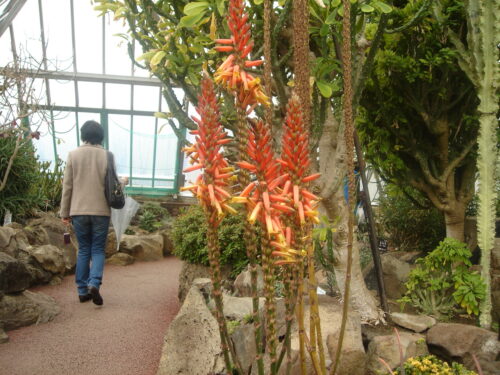 ｼｬﾎﾞﾃﾝ公園