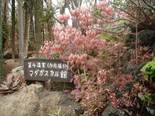 ｼｬﾎﾞﾃﾝ公園