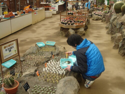 ｼｬﾎﾞﾃﾝ公園