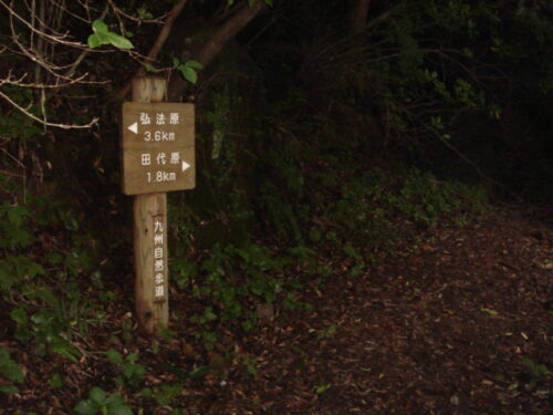 田代原