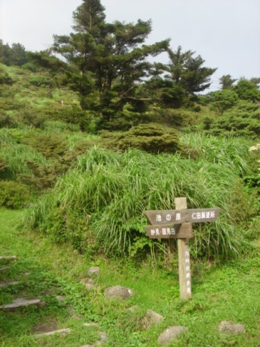 雲仙　仁田峠
