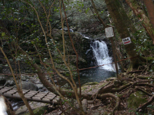 Dsc09624 吊橋を渡る