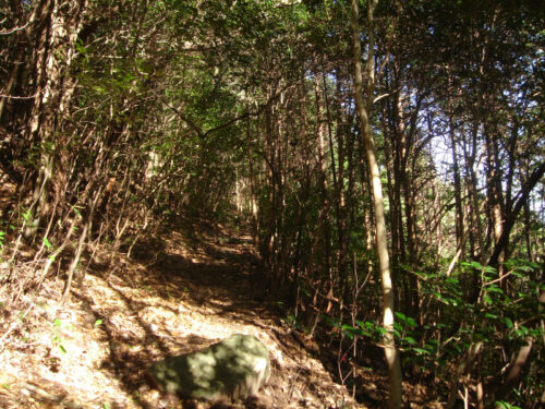 Dsc09633 山道