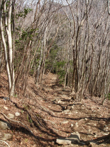 Dsc09655 山道