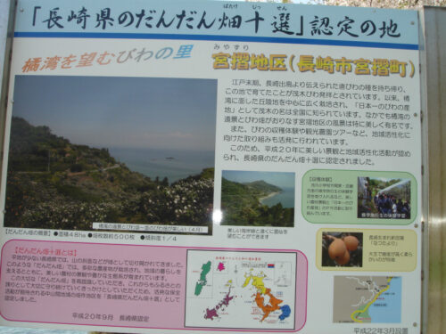 Dsc09808 だんだん畑