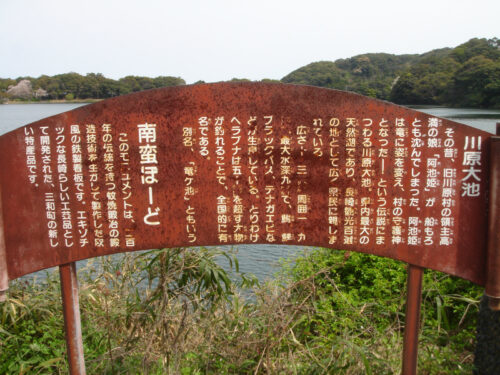 Dsc09848 川原大池