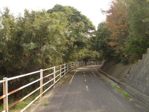 Dsc09853 野母半島サイクリングロード