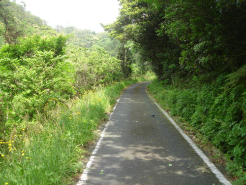 舗装林道