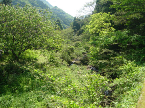 Dsc00256 山並み