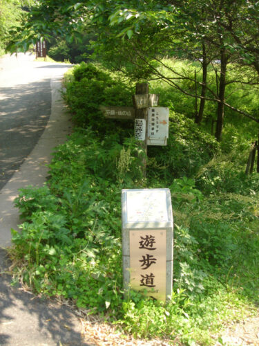 Dsc00326 遊歩道