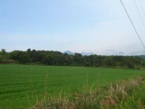 Dsc00383 開拓地前