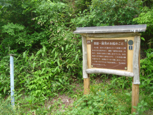 案内板