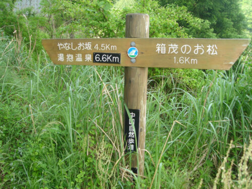 Dsc00398 やなしお道へ