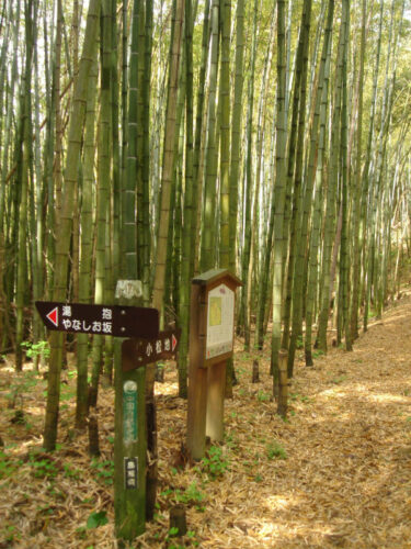 Dsc00404 十王堂跡