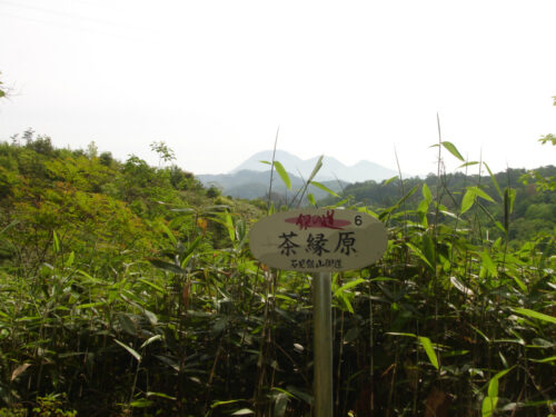 Dsc00408 茶縁原