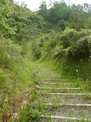 やなしお道