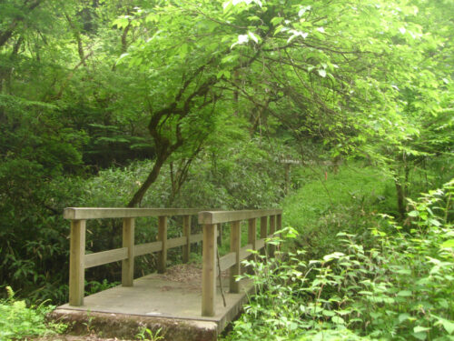 山道へ