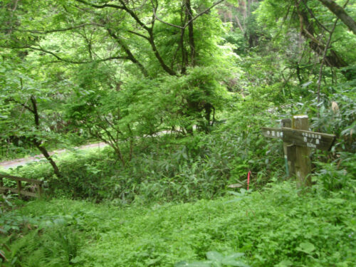 Dsc00457 道しるべ